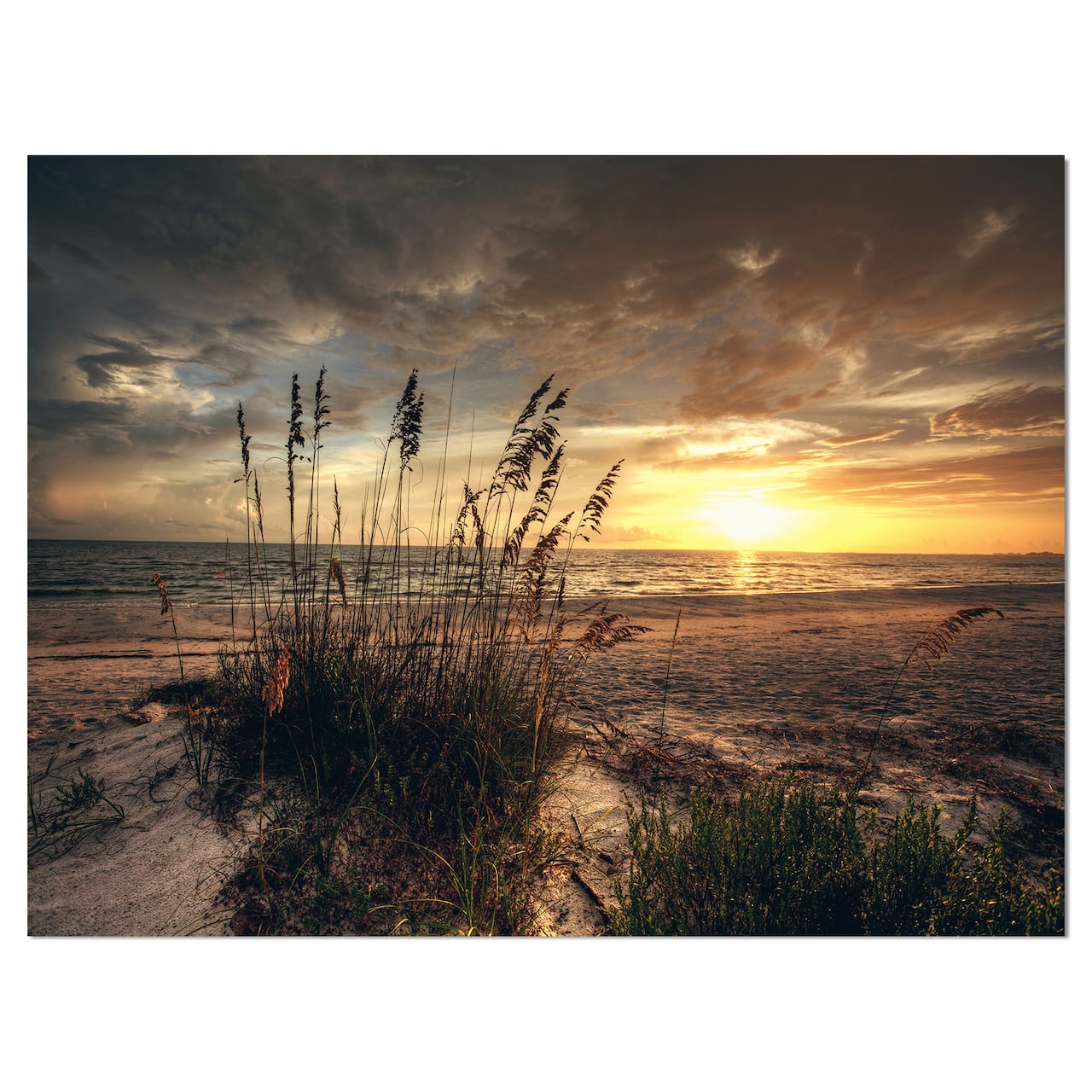 Designart - Grassy and beach sunset - Sea & Shore Photography on wrapped Canvas